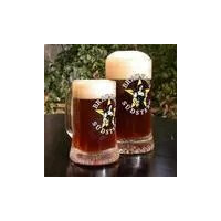Brauhaus Südstern Dunkler Stern