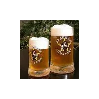 Brauhaus Südstern Heller Stern