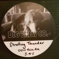 Dig Brew Co Strolling Thunder