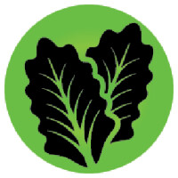 Ferndale Project Salad Days
