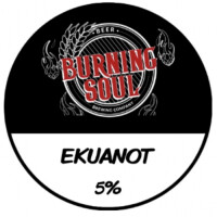 Burning Soul Brewing Company Ekuanot IPA