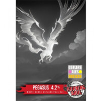 Burning Soul Brewing Company Pegasus