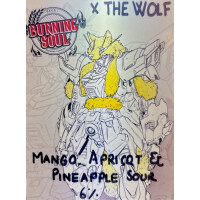 Burning Soul Brewing Company Yellow Wolf Sour