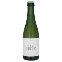 Side Project Brewing Reflections - 10 Year