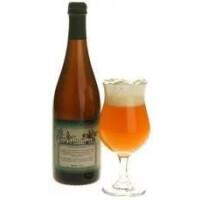 Ithaca Beer Co. Excelsior! alpHalpHa