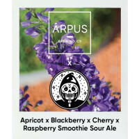 Ārpus Brewing Co. Apricot x Blackberry x Cherry x Raspberry Smoothie Sour Ale