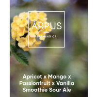 Ārpus Brewing Co. Apricot x Mango x Passionfruit x Vanilla Smoothie Sour Ale
