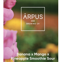 Ārpus Brewing Co. Banana x Mango x Pineapple Smoothie Sour Ale