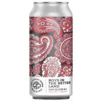 Two Towns Down Boys In The Better Land