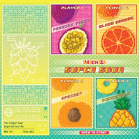 Stamm Brewing 4 In 1 Super Sour