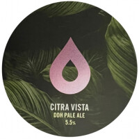 Polly's Brew Co. Citra Vista