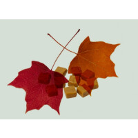 Zagovor Brewery Algorithm: Maple + Caramel (2022)