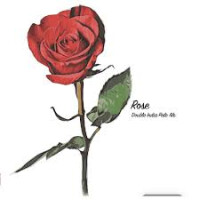 Fidens Brewing Company Rose