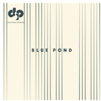 Duckpond Brewing Blue Pond