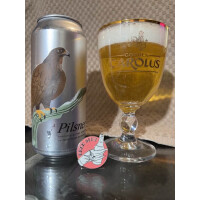 Structures Brewing Company North German Pilsner