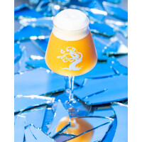 Tree House Brewing Company Mirror Image