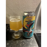 Dry & Bitter Brewing Company The Splash