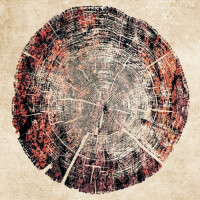 Zagovor Brewery Lava Gradient