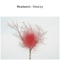 Zagovor Brewery Meadwest: Cherry
