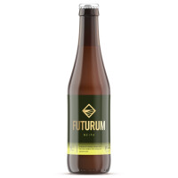 Brouwerij De Toekomst Futurum NEIPA