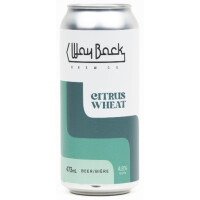 Wayback Brew Co. Citrus Wheat