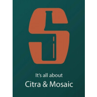 Salikatt Bryggeri It's All About Citra & Mosaic