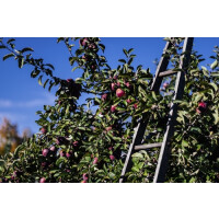 Barreled Souls Brewing Company ABC's 2.0 (2021)