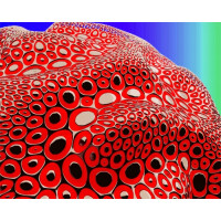 Barreled Souls Brewing Company Apples 2 Apples