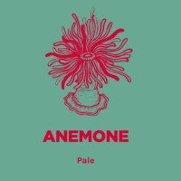 Pomona Island Brew Co. Anemone
