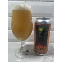 Twin Elephant Brewing Company Here There Be Monsters