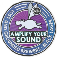 Lost and Grounded Amplify Your Sound