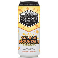 Canmore Brewing Co. Splash Mountain
