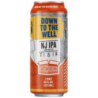 Carton Brewing Down To The Well