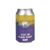 Lost and Grounded Lost in Plain Sight