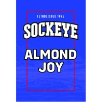 Sockeye Brewing Almond Joy Cream Ale