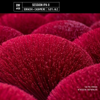 Noiseless Brews BW#06 - Session IPA II