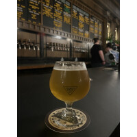 North Park Beer Company Elder-Fu!