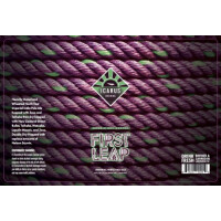 Icarus Brewing First Leap - DDH Nelson Sauvin