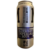 Modus Operandi Brewing Co. Blueberry Imperial Sour