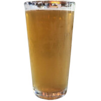 Prosperity Brewers Sour Blueberry