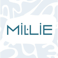 Vice Beer Millie 11°