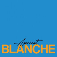 Kolomenskaya Pivovarnya (Коломенская Пивоварня) Pivot Point Apricot Blanche