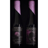 Temporal Artisan Ales Converging Fractals