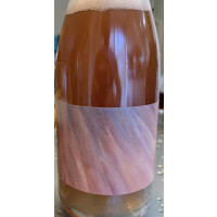 Temporal Artisan Ales Vinifera: Pinot Gris (2020)