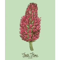 Fonta Flora Brewery Crimson