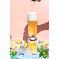 Burdock Citrus Supreme Pale Ale