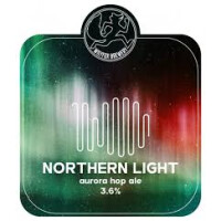 Wily Fox Northern Light