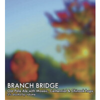 Honest Weight Artisan Beer Branch Bridge