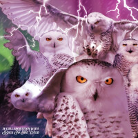 CLAG Brewing Company Tundra Ghosts