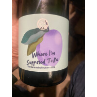 Wilderness Brewery (Wales) Where I’m Supposed To Be